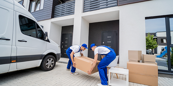 Moves in Marina Dubai