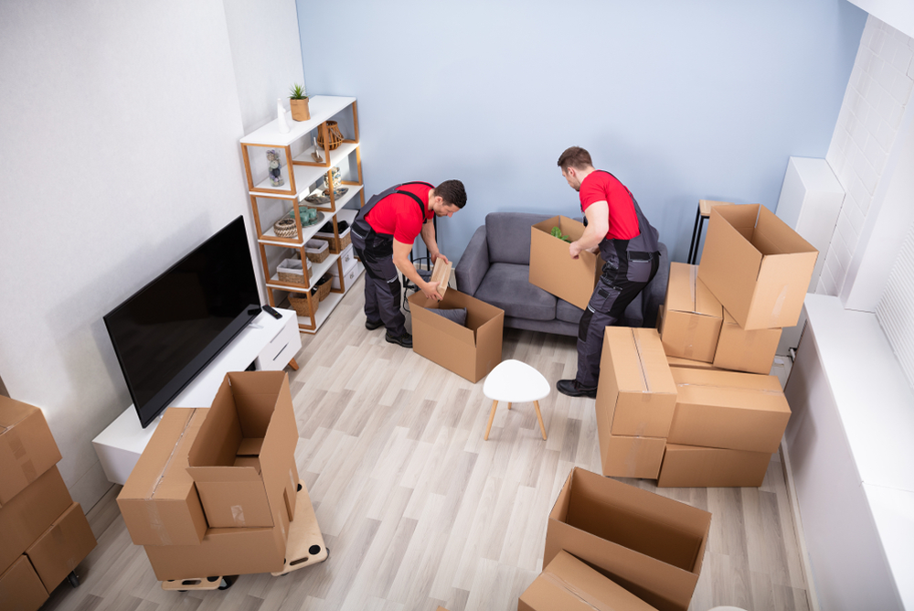 movers in abu dhabi